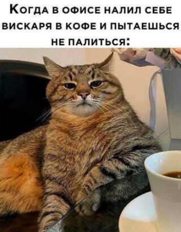 КогдаА В ОФИСЕ НАЛИЛ СЕБЕ ВИСКАРЯ В КОФЕ И ПЫТАЕШЬСЯ НЕ ПАЛИТЬСЯ