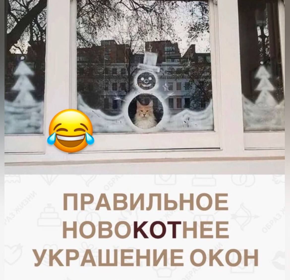 эКОТ