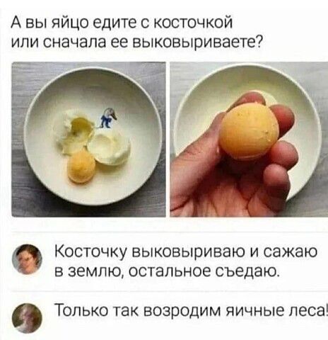 А вы яйцо едите с косточкой или сначала ее вьповыриваете Косточку выковыриваю и сажаю в землю остальное съедаю 0 Только так возродим яичные леса