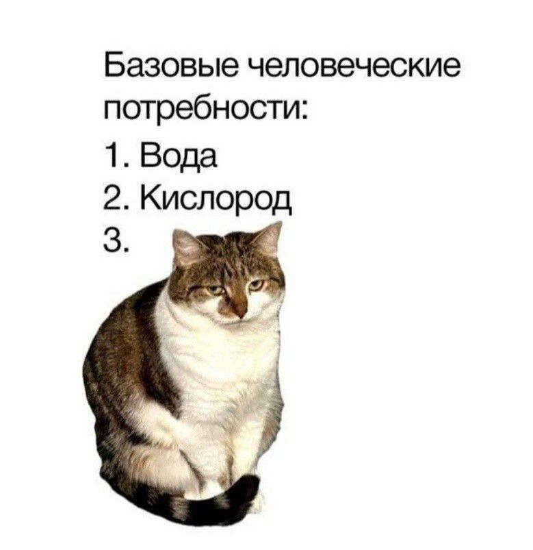 Базовые человеческие потребности 1 Вода 2 Кислород
