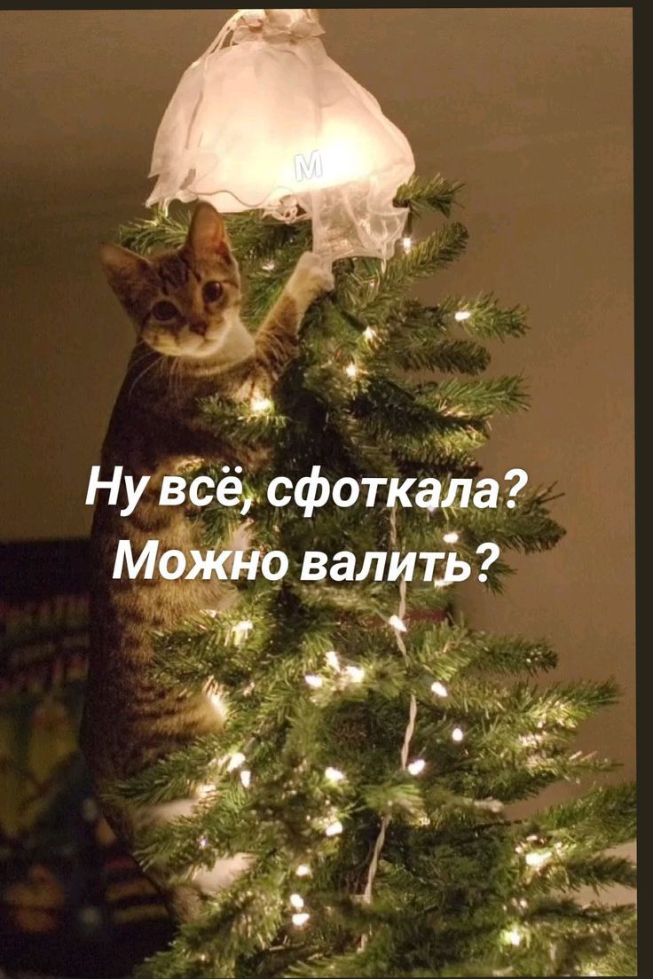 4 Нувсёсфоткала Можно валить