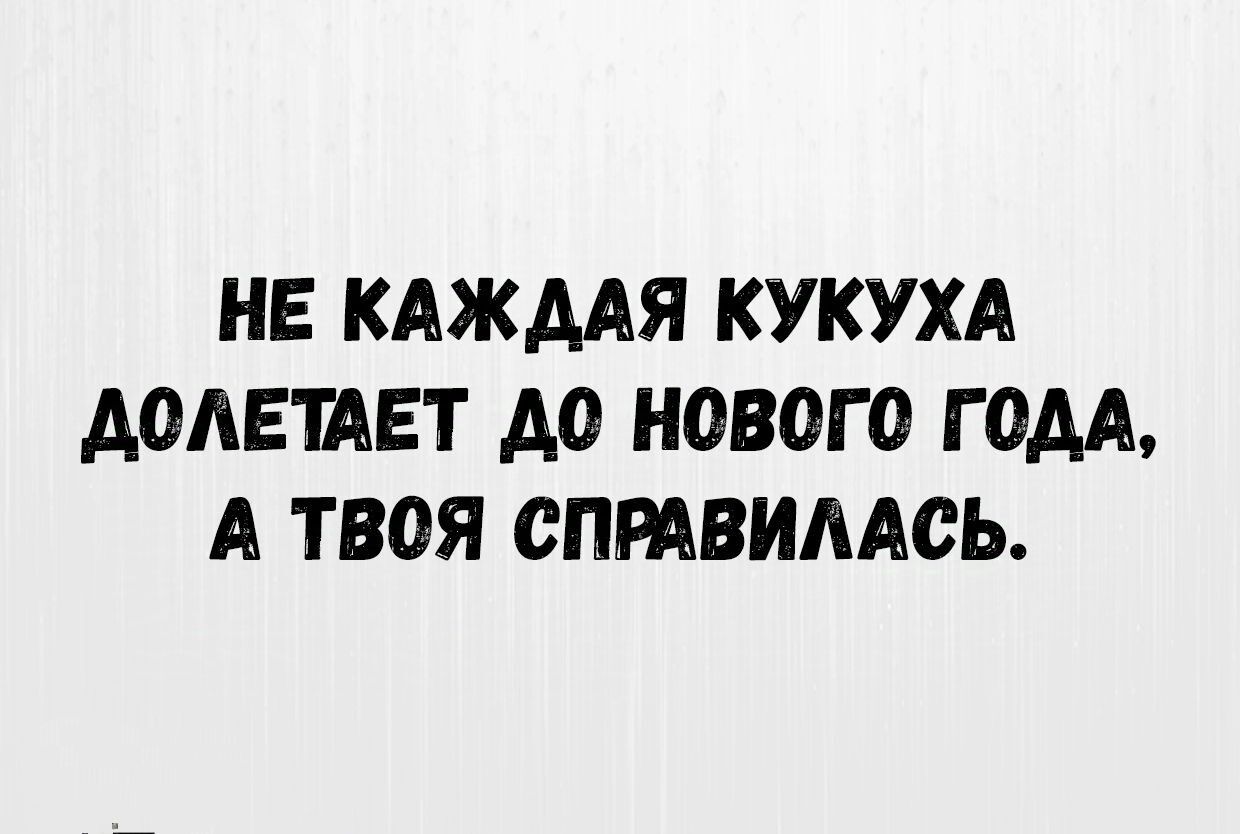 НЕ КАЖДАЯ КУКУХА ДОЛЕТАЕТ ДО НОВОГО ГОДА А ТВОЯ СПРАВИЛАСЬ