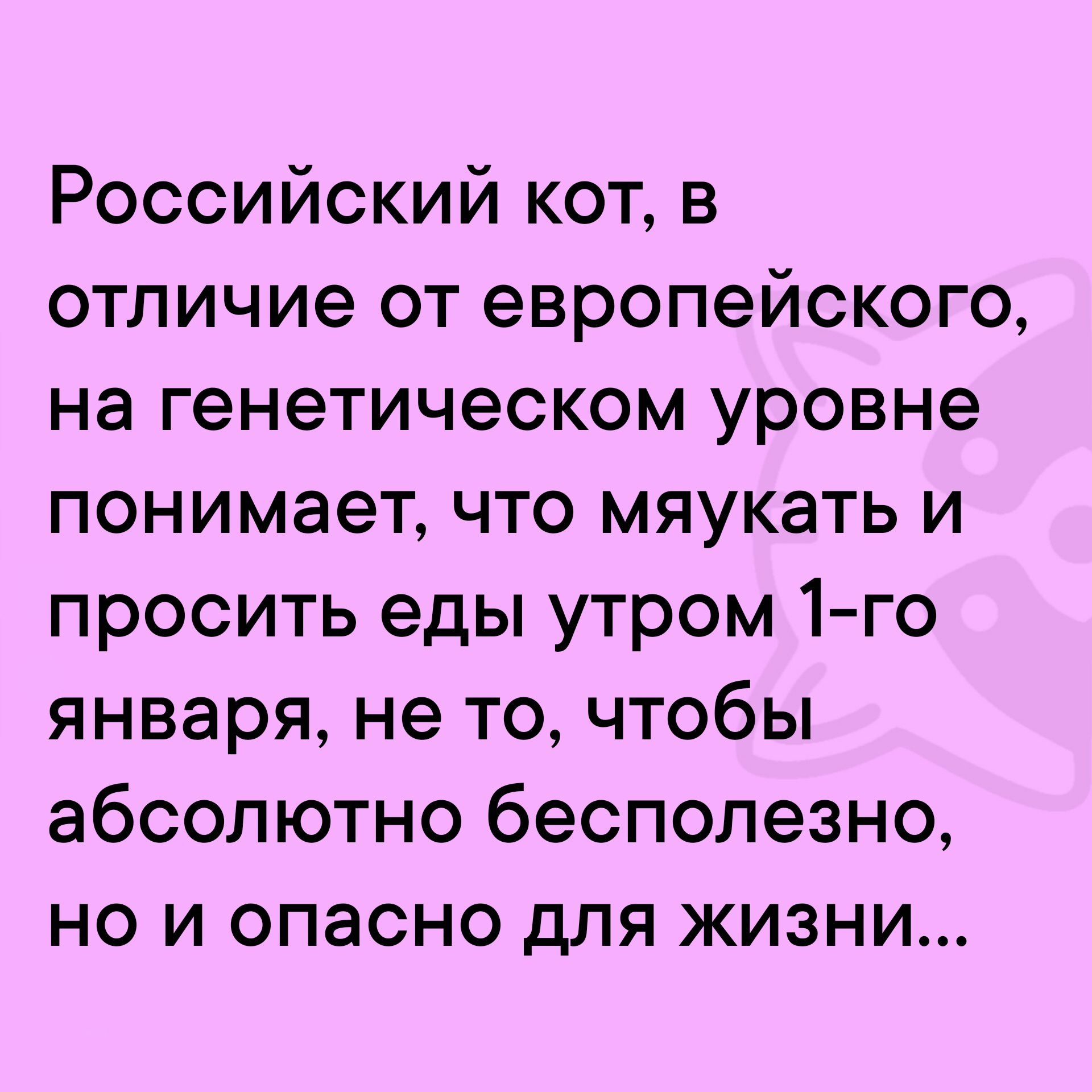 Российский кот в отличие от европейского на генетическом уровне понимает что мяукать и просить еды утром 1 го января не то чтобы абсолютно бесполезно но и опасно для жизни