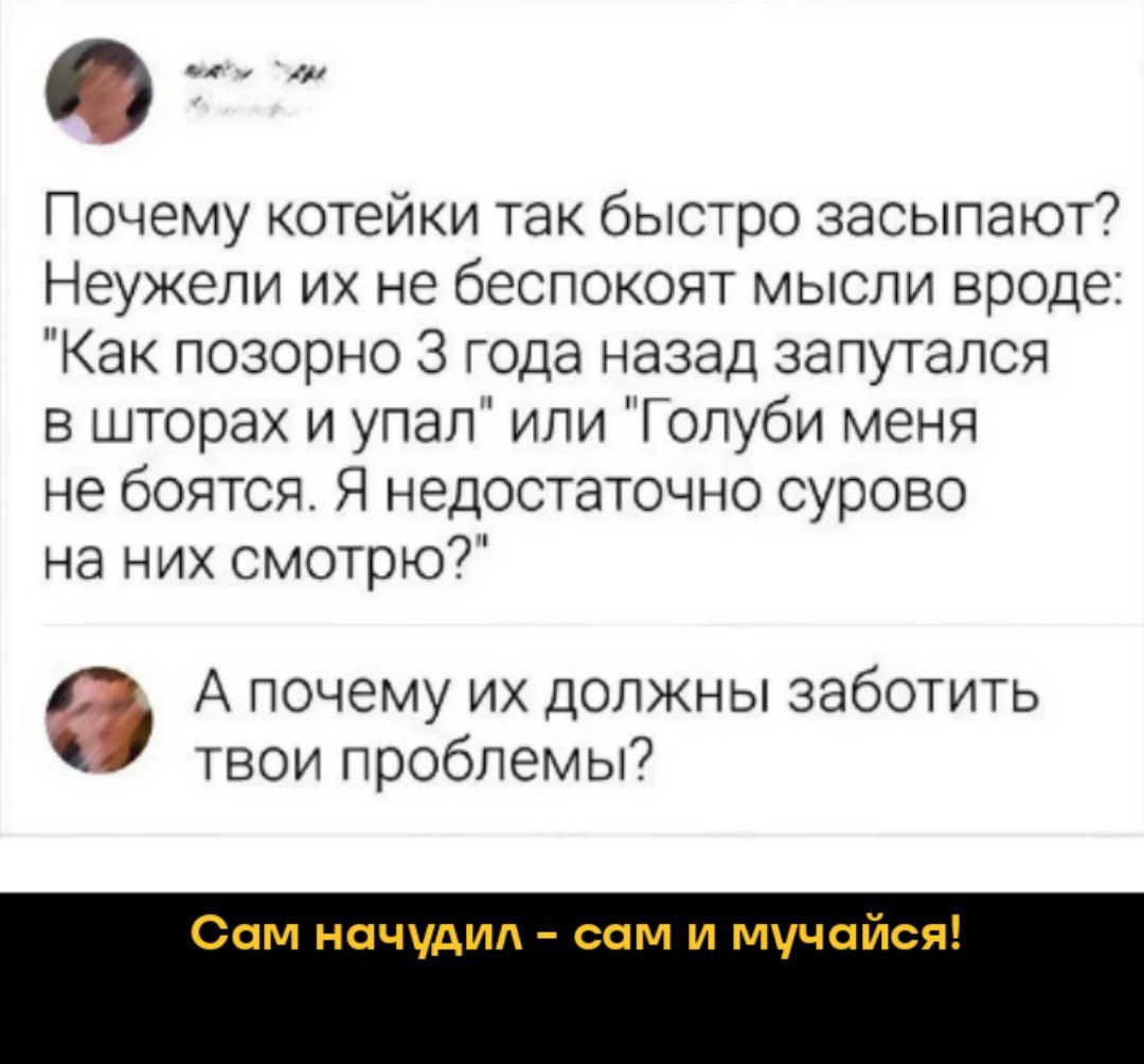 Почему котейки так быстро засыпают Неужели их не беспокоят мысли вроде Как позорно 3 года назад запутался в шторах и упал или Голуби меня не боятся Я недостаточно сурово на них смотрю е А почему их должны заботить твои проблемы