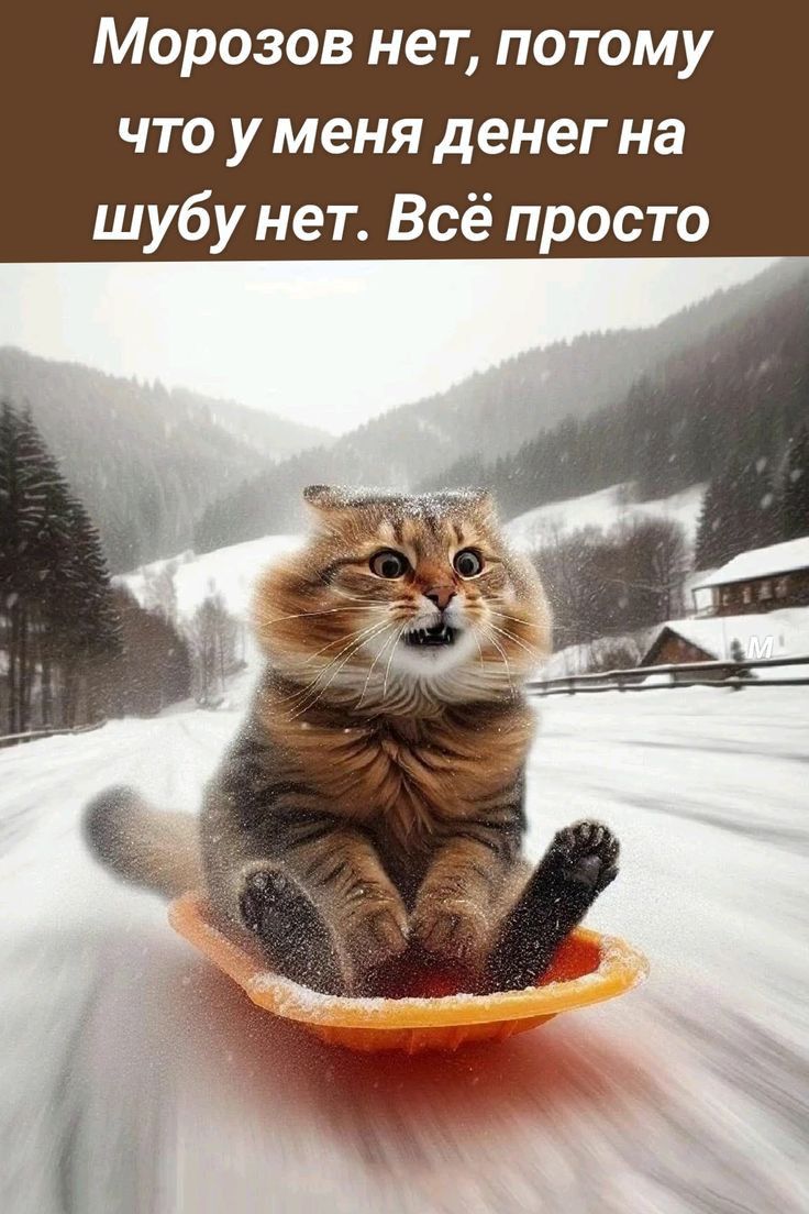 Морозов нет потому что у меня денег на шубу нет Всё просто