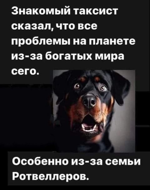 Знакомый таксист сказал что все проблемы на планете из за богатых мира сего е г 4 К Ч Особенно из за семьи Ротвеллеров