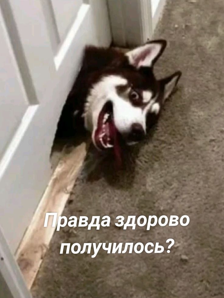 авда здорово получилось