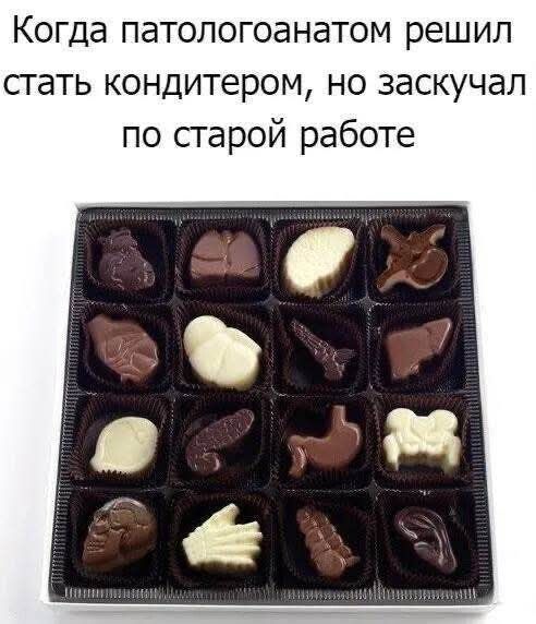 Когда патологоанатом решил стать кондитером но заскучал по старой работе