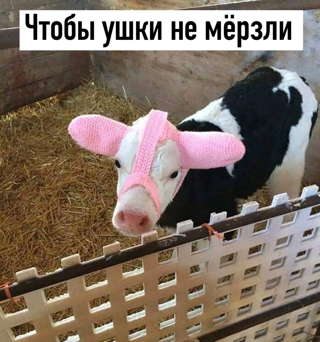 со 8 ДЕЕ а о