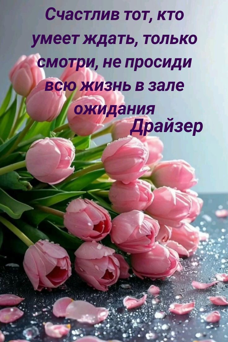 Счастлив тот, кто умеет ждать, только смотри, не просиди всю жизнь в зале ожидания Драйзер