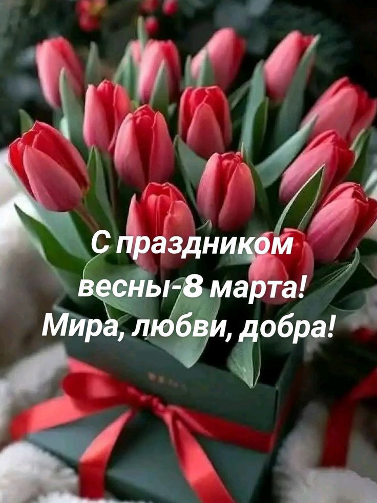 С праздником весны-8 марта! Мира, любви, добра!
