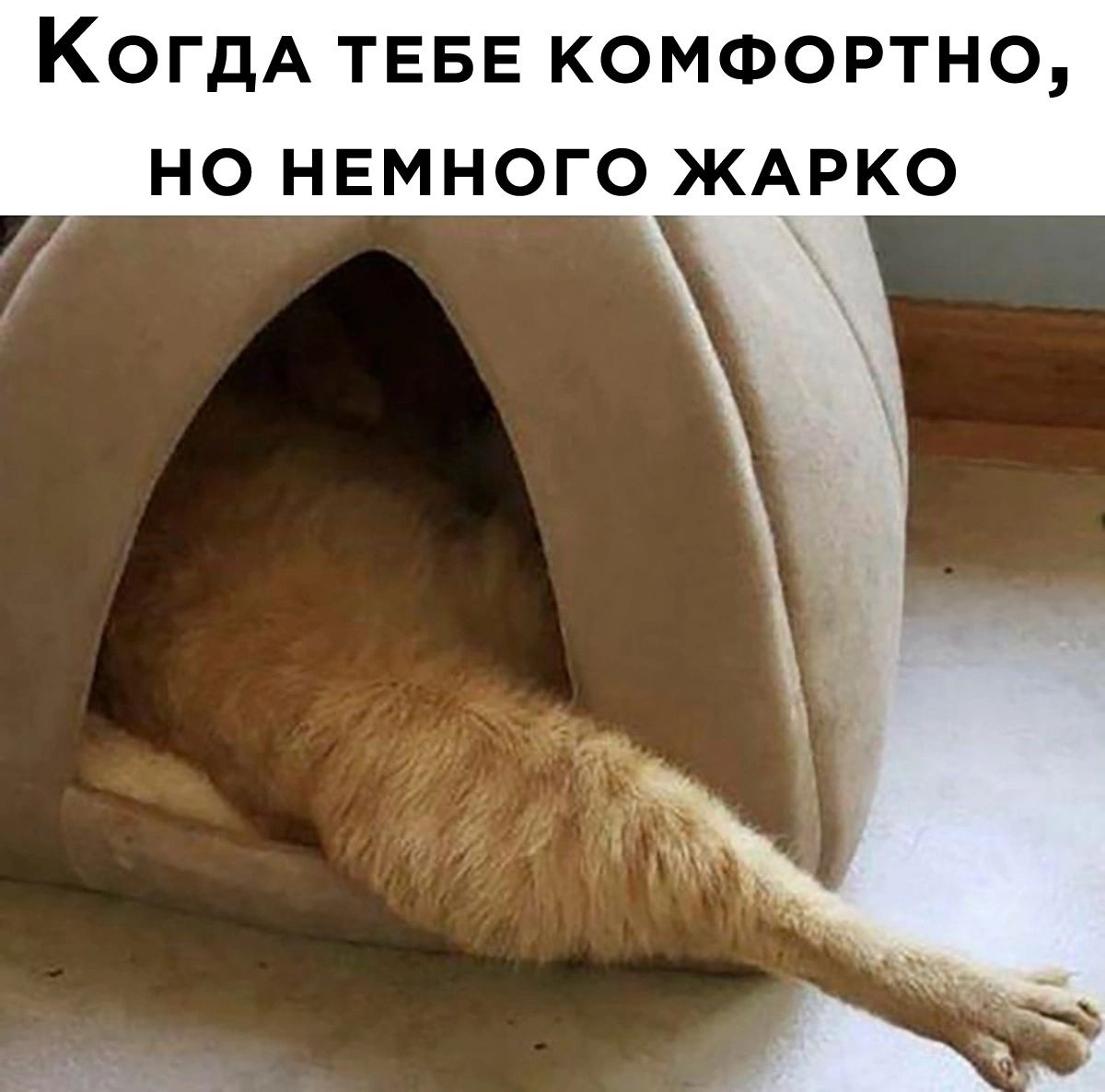 Когда тебе комфортно, но немного жарко