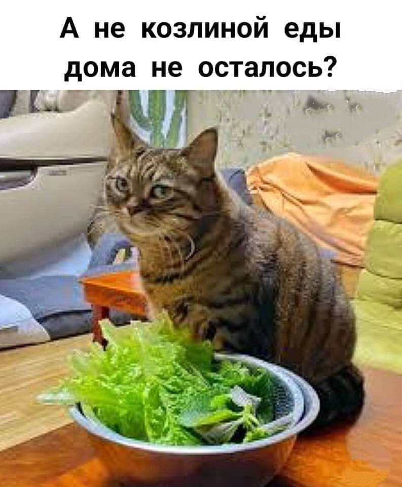 А не козлиной еды дома не осталось?