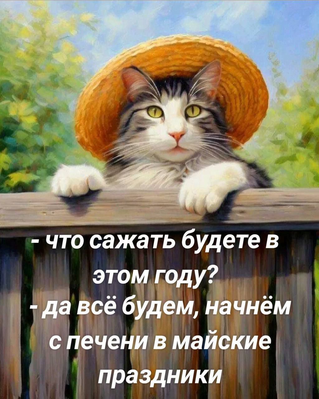 - что сажать будете в этом году?
- да всё будем, начнём с печени в майские праздники