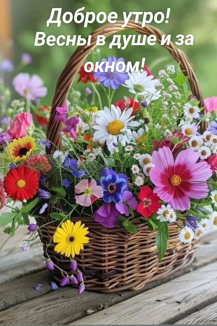Доброе утро! Весны в душе и за окном!