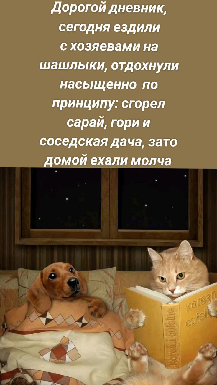 Дорогой дневник, сегодня ездили с хозяевами на шашлыки, отдохнули насыщенно по принципу: сгорел сарай, гори и соседская дача, зато домой ехали молча.