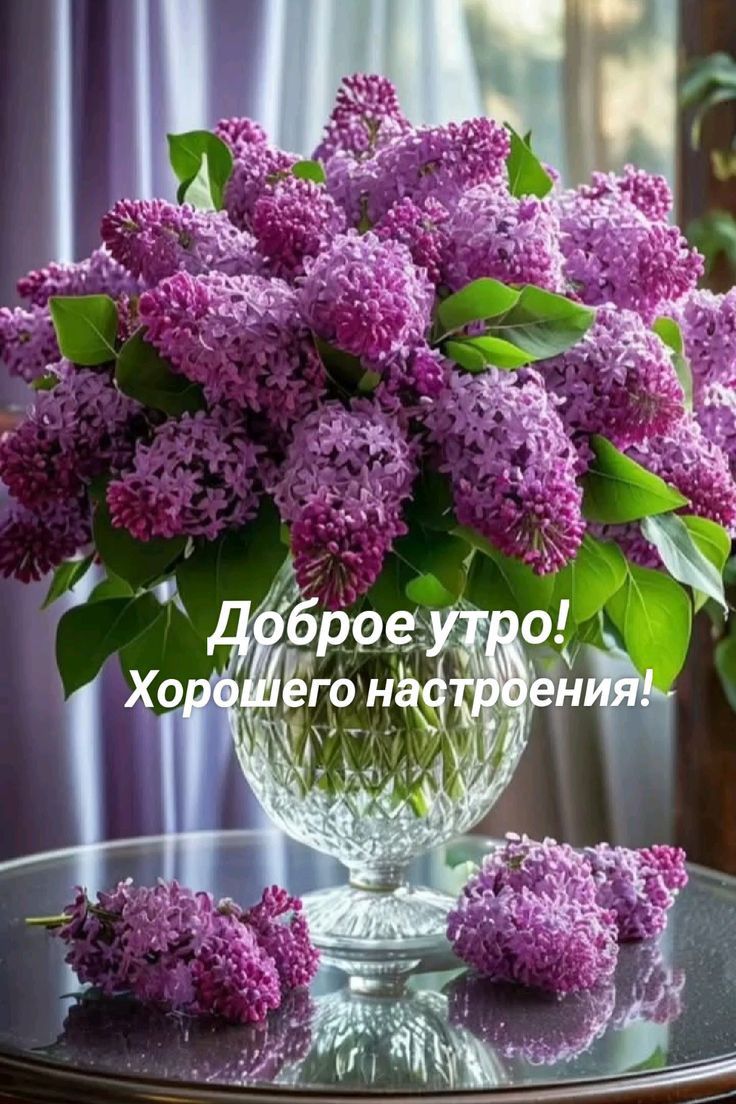 Доброе утро! Хорошего настроения!
