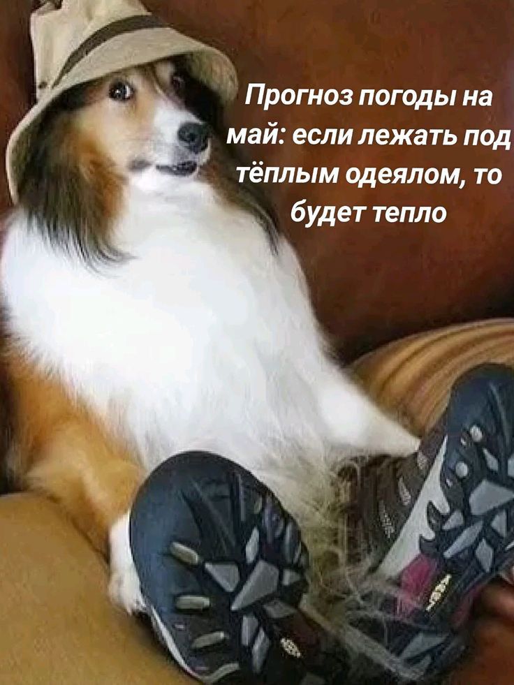 Прогноз погоды на май: если лежать под тёплым одеялом, то будет тепло