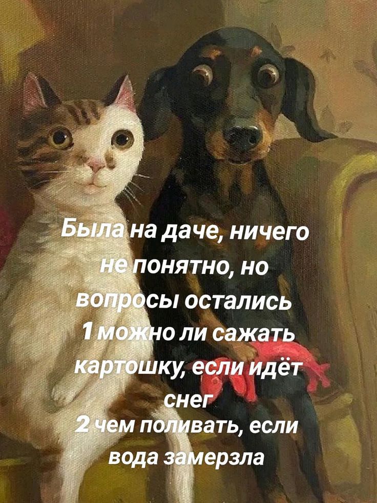 Была на даче, ничего не понятно, но вопросы остались
1 можно ли сажать картошку, если идёт снег
2 чем поливать, если вода замерзла