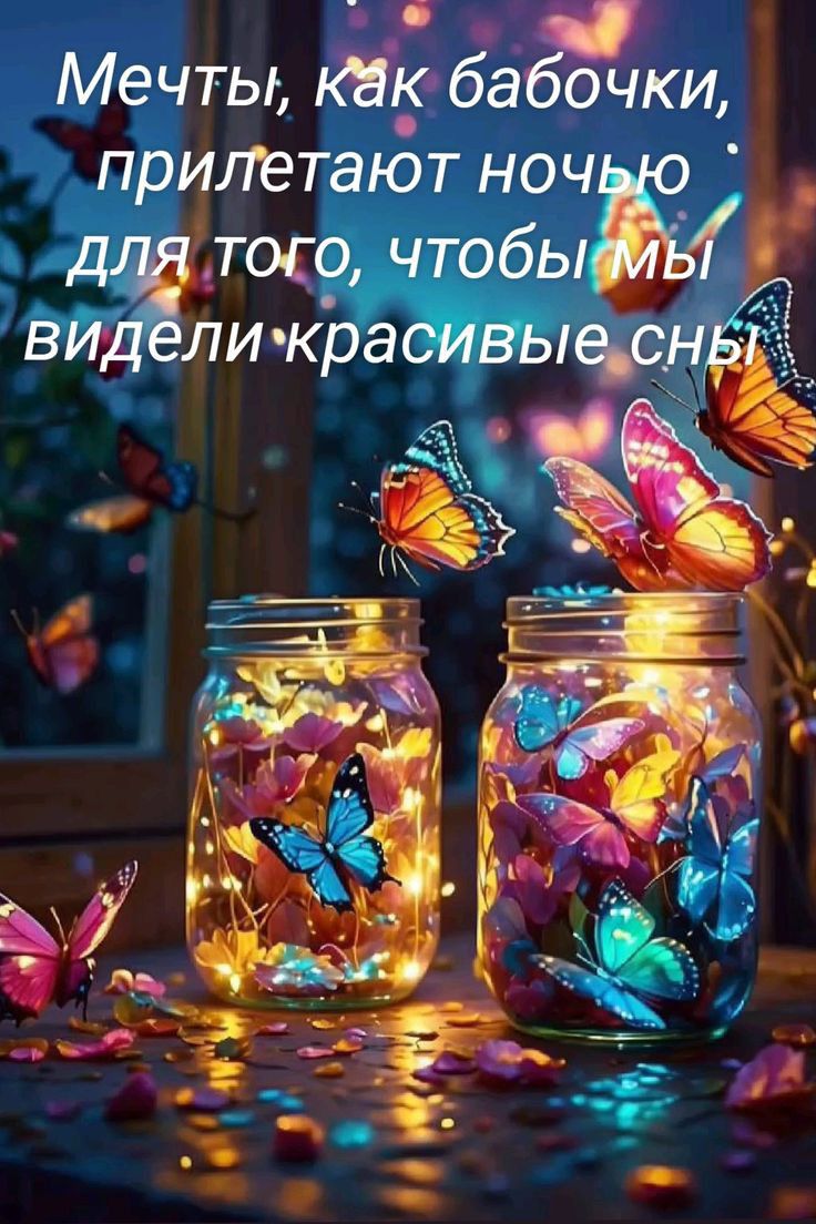 Мечты, как бабочки, прилетают ночью для того, чтобы мы видели красивые сны