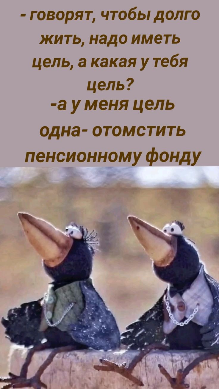 - говорят, чтобы долго жить, надо иметь цель, а какая у тебя цель?
- а у меня цель одна - отомстить пенсионному фонду