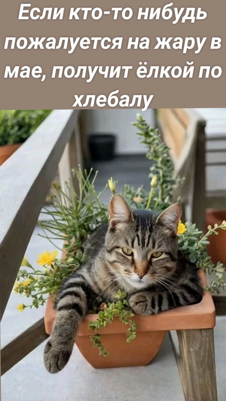 Если кто-тоNibudь пожалуется на жару в мае, получит ёлкой по хлебалe.