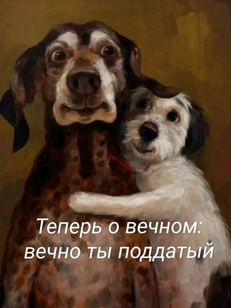Теперь о вечном: вечно ты поддатый