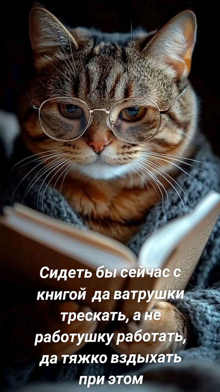 Сидеть бы сейчас с книгой да ватрушки трескать, а не работушку работать, да тяжко вздыхать при этом