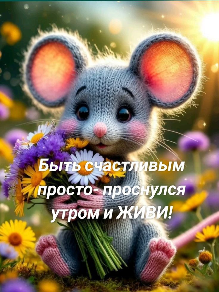 Быть счастливым просто - проснулся утром и ЖИВИ!