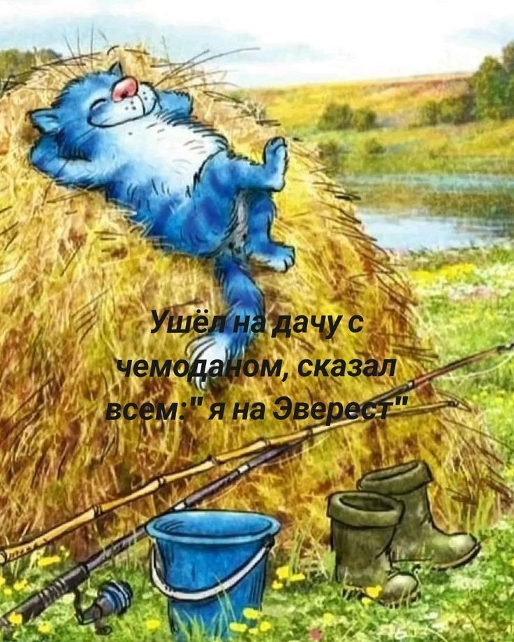 Ушёл на дачу с чемоданом, сказал всем: 