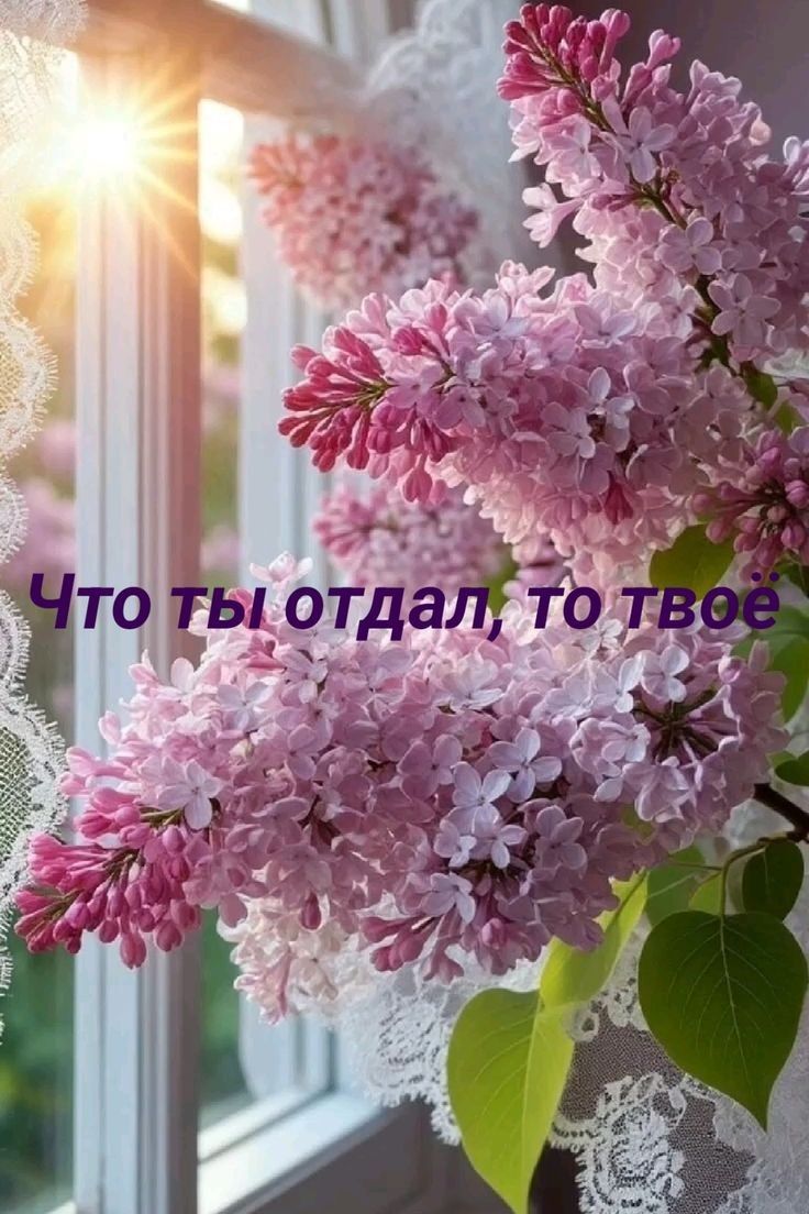Что ты отдал, то твое