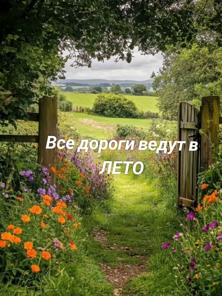 Все дороги ведут в ЛЕТО