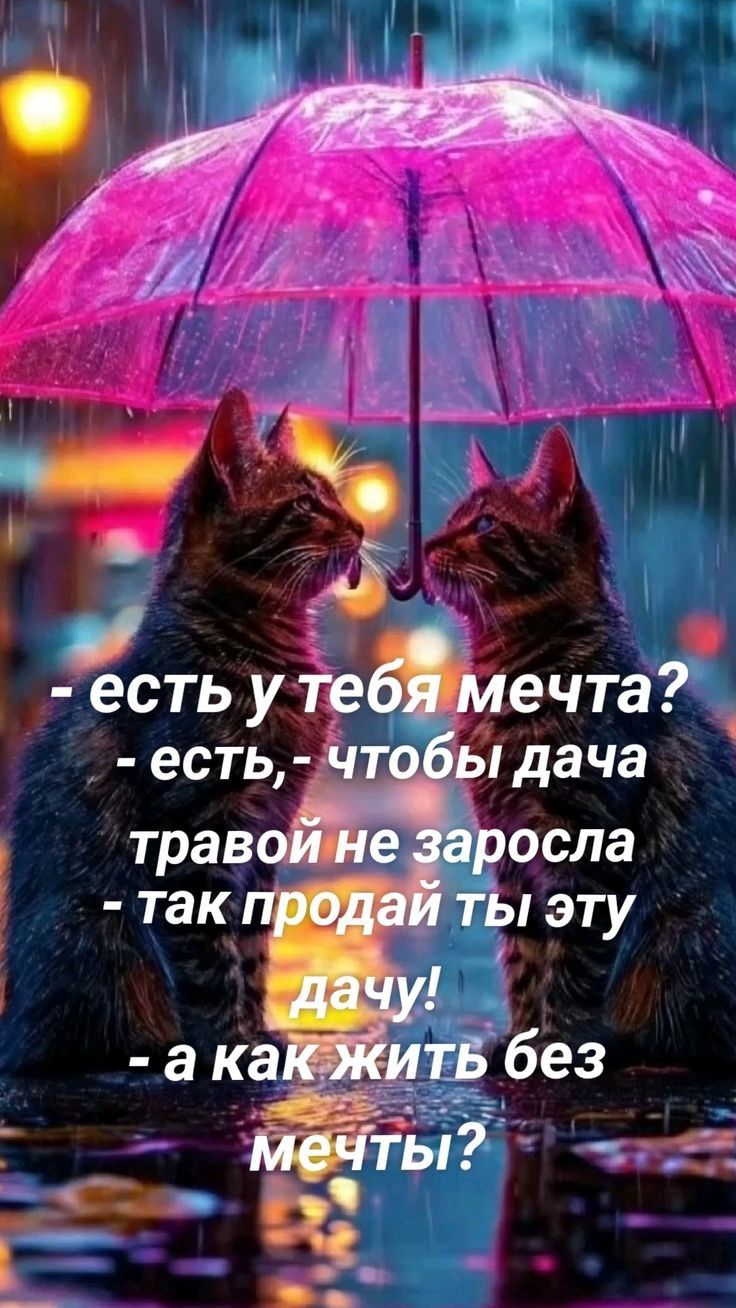 - есть у тебя мечта?
- есть, чтобы дача травой не заросла
- так продай ты эту дачу!
- а как жить без мечты?