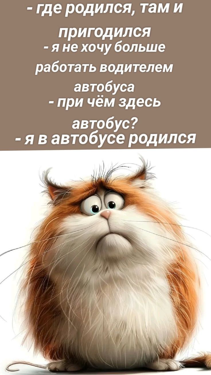 - где родился, там и пригодился
- я не хочу больше работать водителем автобуса
- при чём здесь автобус?
- я в автобусе родился