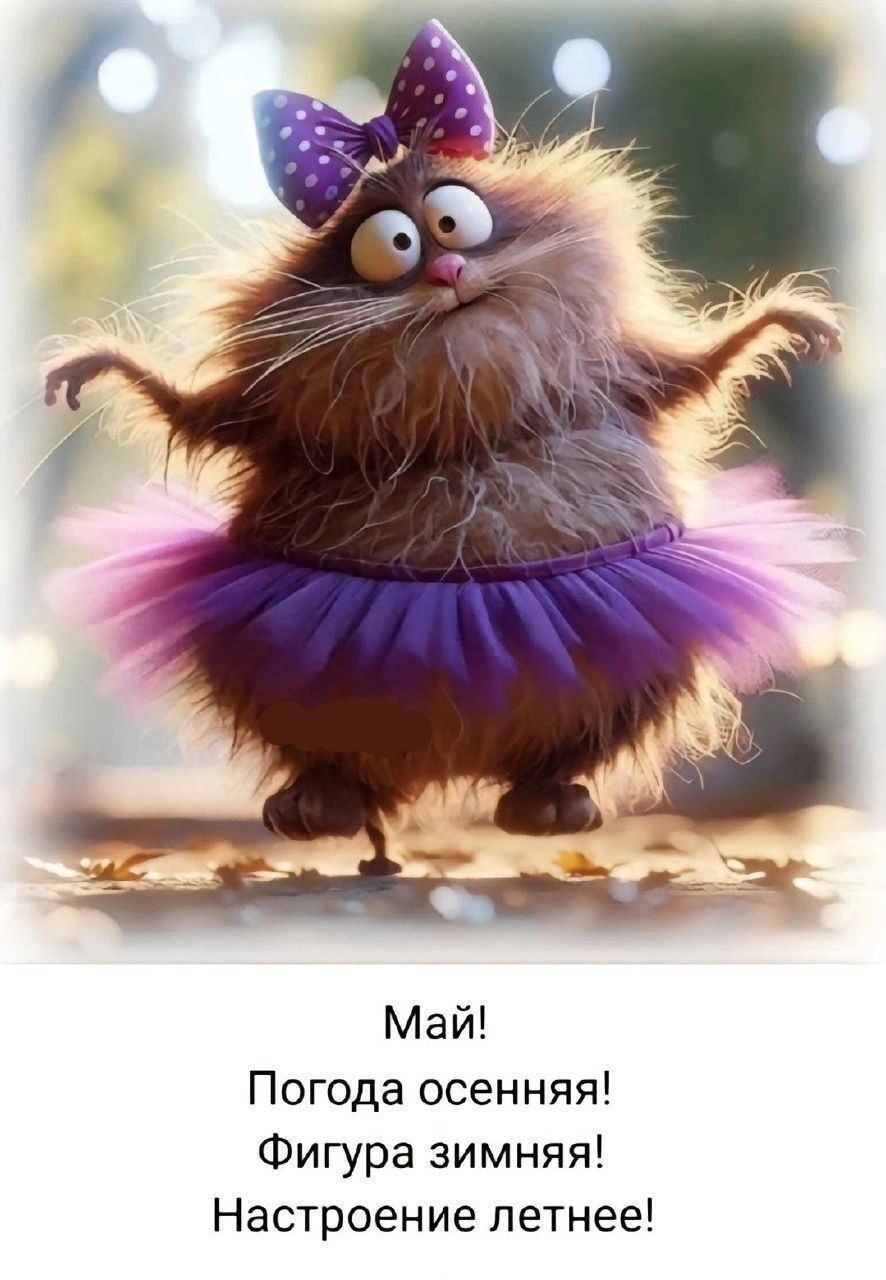 Май!
Погода осенняя!
Фигура зимняя!
Настроение летнее!