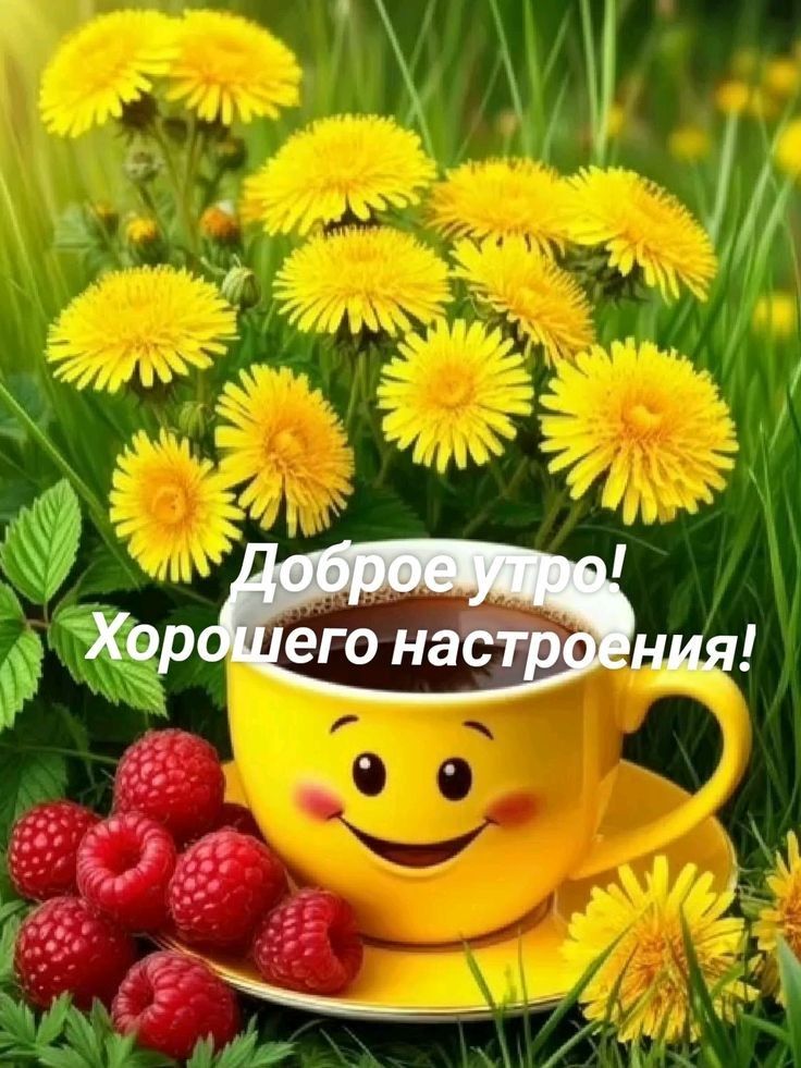 Доброе утро! Хорошего настроения!
