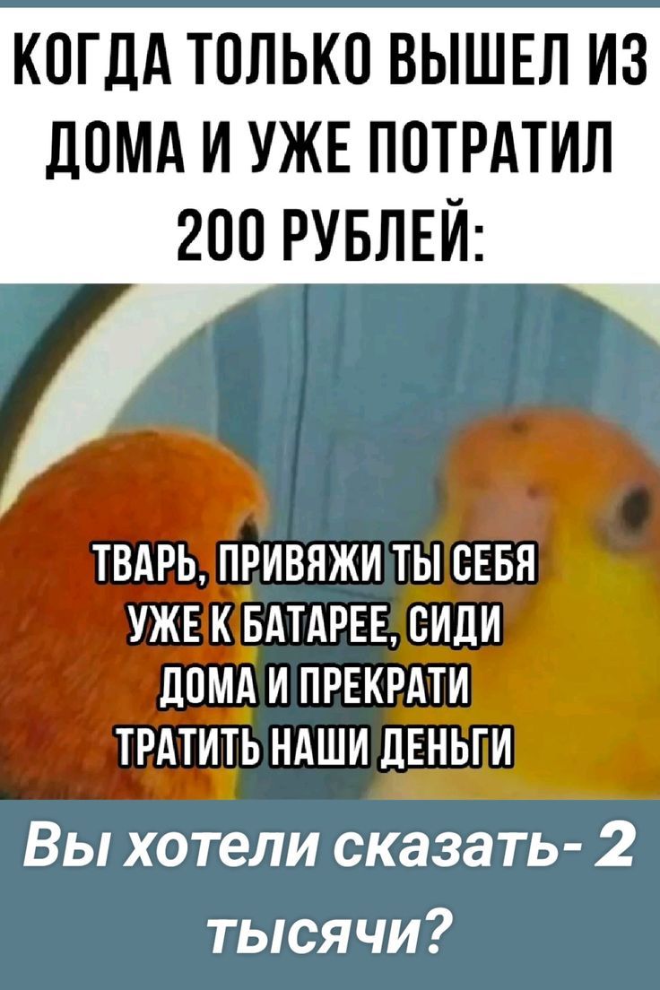 КОГДА ТОЛЬКО ВЫШЕЛ ИЗ ДОМА И УЖЕ ПОТРАТИЛ 200 РУБЛЕЙ:
 ТВАРЬ, ПРИВЯЖИ ТЫ СЕБЯ УЖЕ К БАТАРЕЕ, СИДИ ДОМА И ПРЕКРАТИ ТРАТИТЬ НАШИ ДЕНЬГИ
 Вы хотели сказать- 2 тысячи?