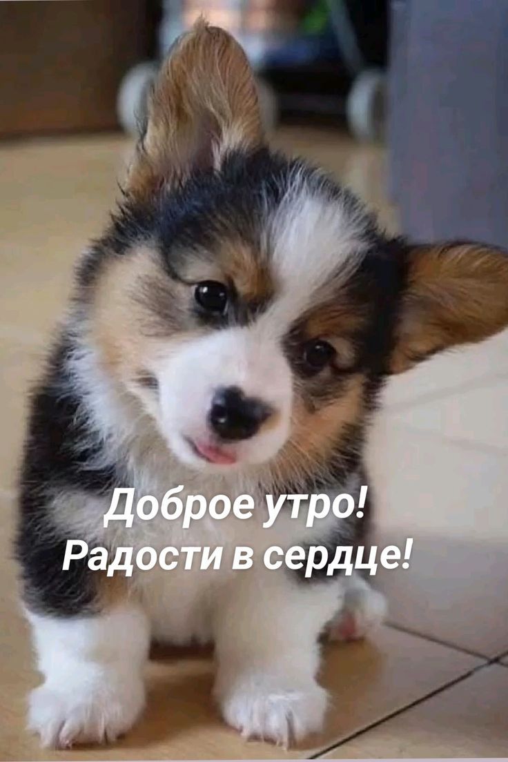 Доброе утро! Радости в сердце!