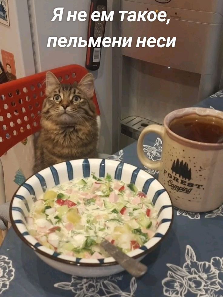 Я не ем такое, пельмени неси