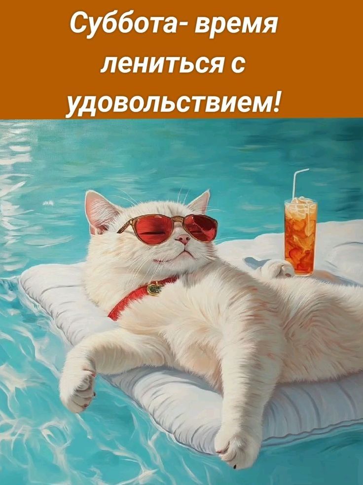 Суббота- время лениться с удовольствием!