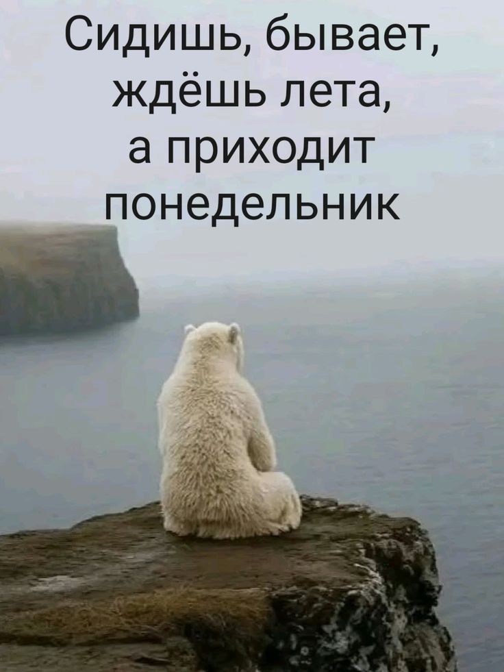 Сидишь, бывает, ждёшь лета, а приходит понедельник
