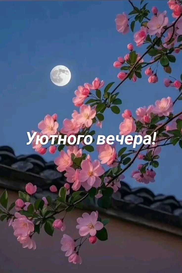Уютного вечера!