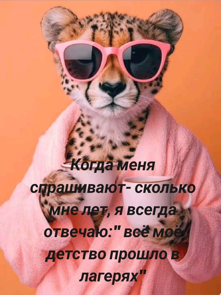 Когда меня спрашивают- сколько мне лет, я всегда отвечаю: 