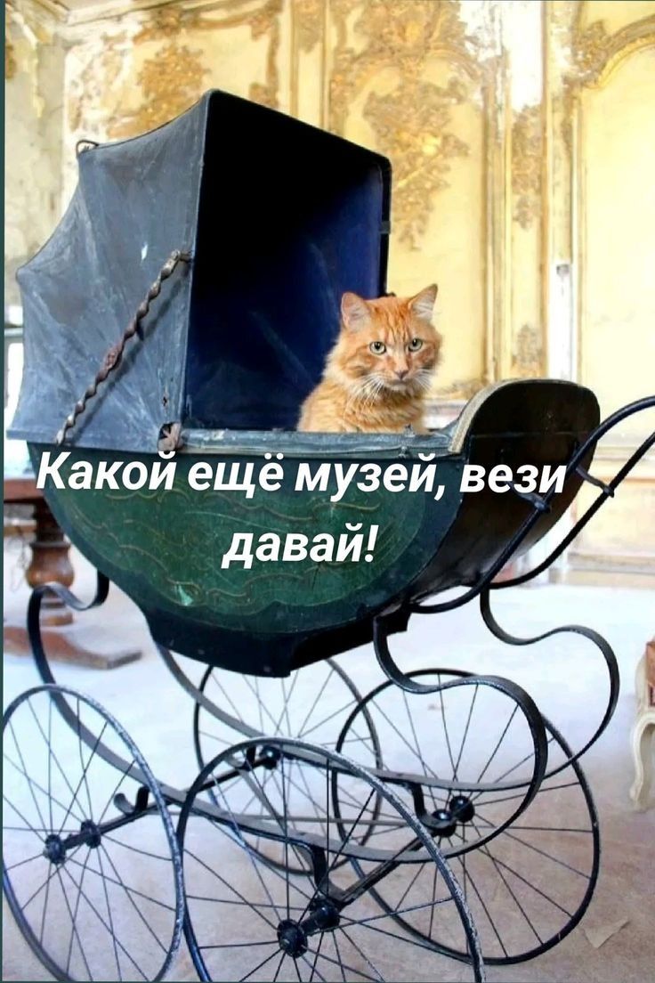 Какой ещё музей, вези давай!