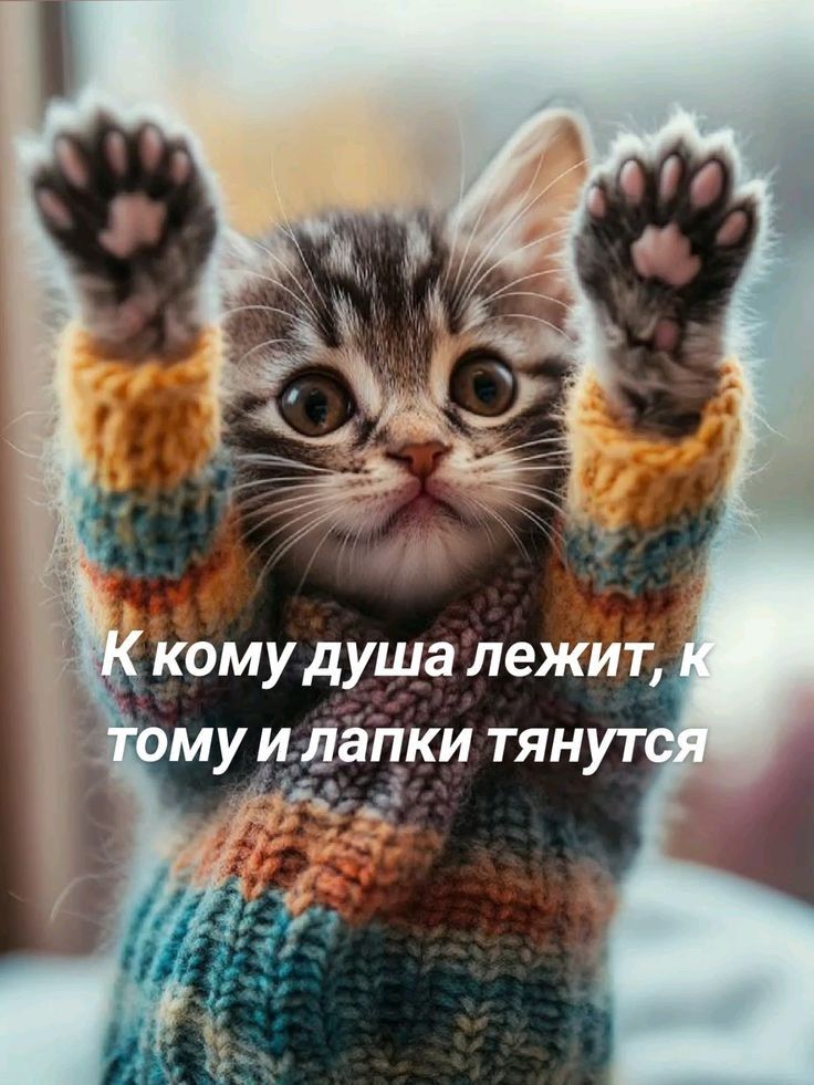 К кому душа лежит, к тому и лапки тянутся