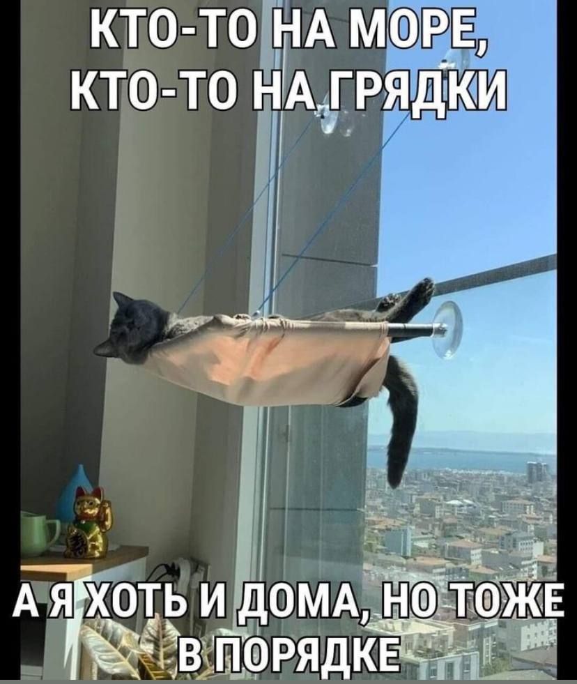 КТО-ТО НА МОРЕ, КТО-ТО НА ГРЯДКИ
А Я ХОТЬ И ДОМА, НО ТОЛЬКО В ПОРЯДКЕ