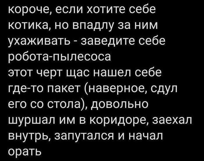 короче, если хотите себе котика, но впадлу за ним ухаживать - заведите себе робота-пылесоса этот черт щас нашел себе где-то пакет (наверное, сдул его со стола), довольно шуршал им в коридоре, заехал внутрь, запутался и начал орать