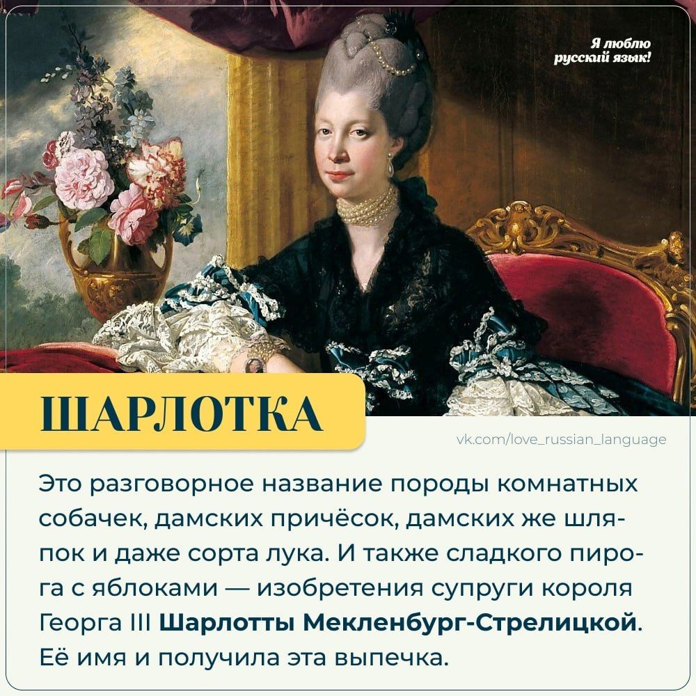 ШАРЛОТКА
Это разговорное название породы комнатных собачек, дамских причесок, дамских же шляпок и даже сорта лука. И также сладкого пирога с яблоками — изобретения супруги короля Георга III Шарлотты Мекленбург-Стрелицкой. Её имя и получила эта выпечка.