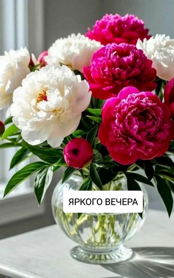 ЯРКОГО ВЕЧЕРА