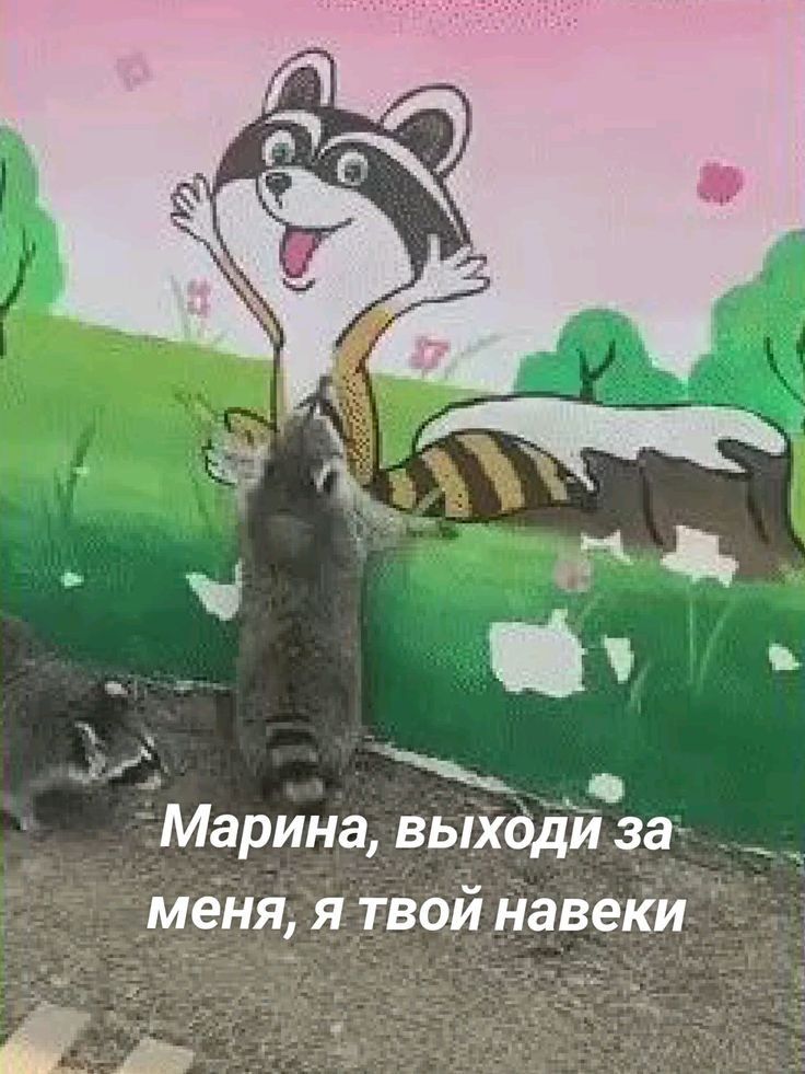 Марина, выходи за меня, я твой навеки